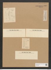 Diatomeae indet. Zeichnungen Sammlung Grunow Nr. 2902 (NHMW-BOT-W0370238)